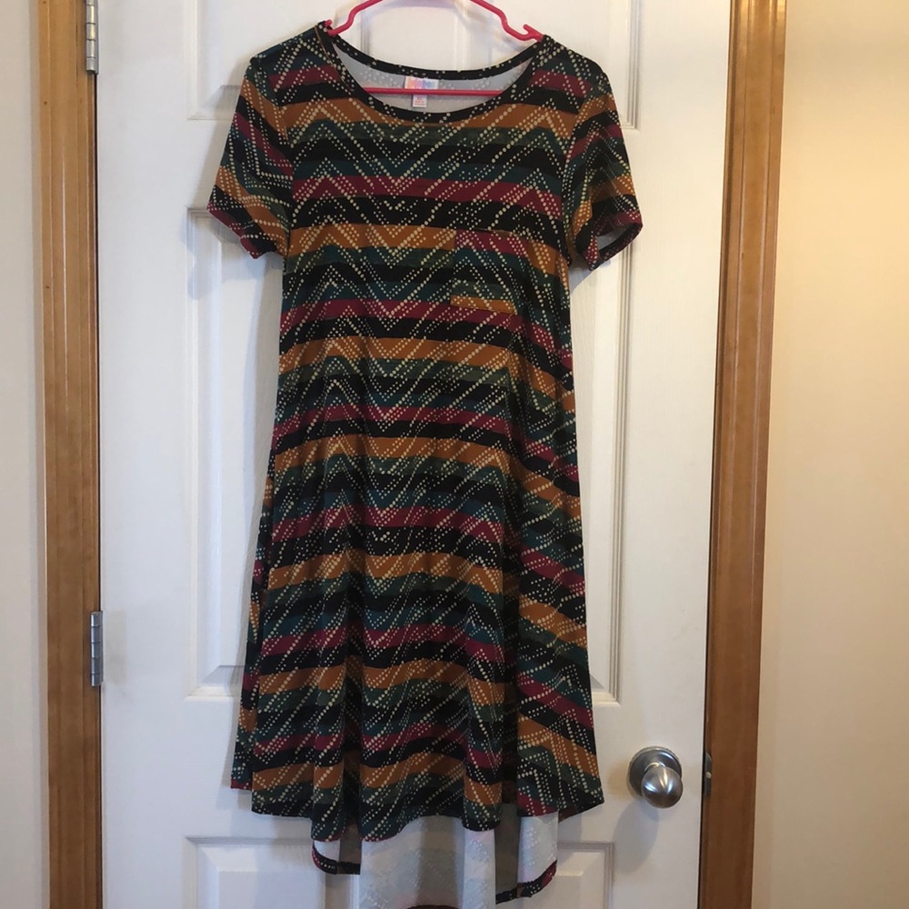 Amazing Patterned XS LulaRoe Carly Dress